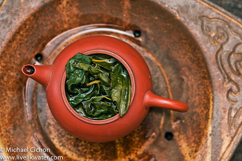 Thé Oolong vert de haute montagne Da Yu Ling de Taïwan